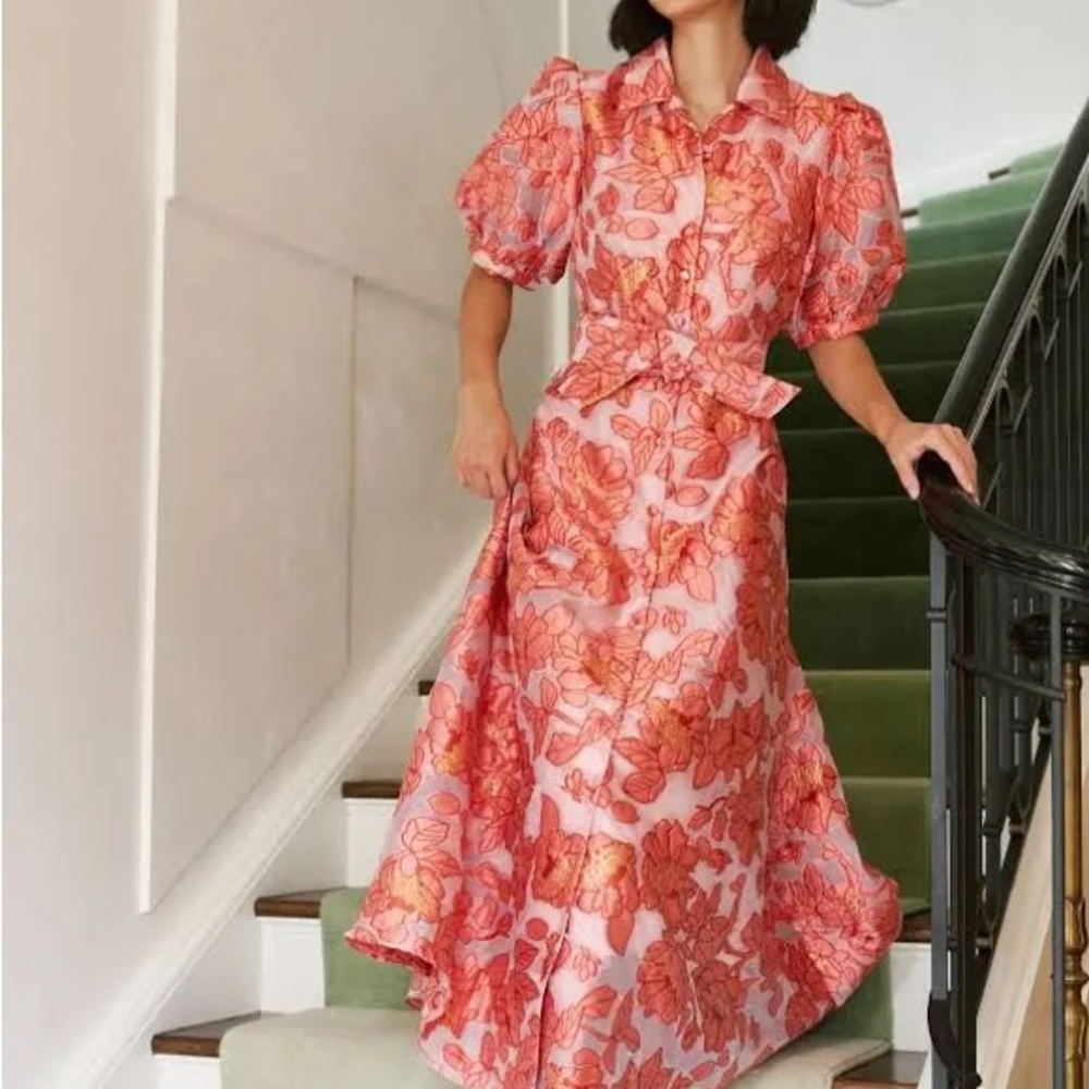 NWOT Abbey Glass Charlotte Dress in Rose Blossom Organza